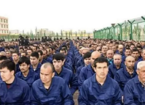 Opinion: Uyghur Genocide and Hui Muslim Persecution, Orchestrated by the Chinese Government and Exploited by American Companies
